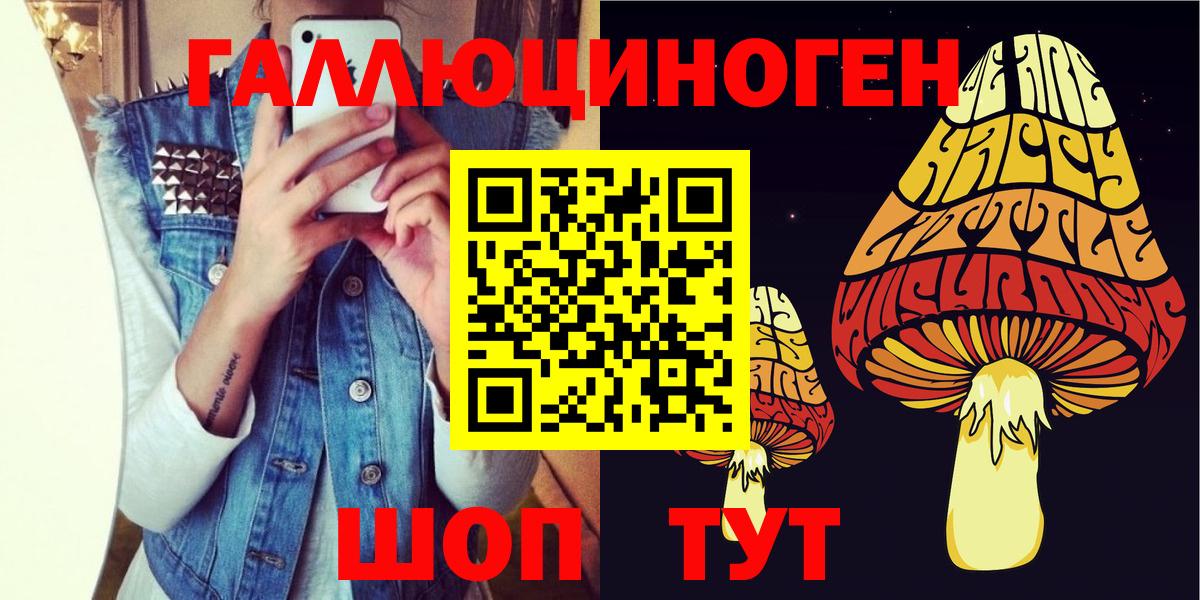 Геленджик  дарнет шоп  Галлюциногенные грибы прущие грибы  Вход с VPN  Галлюциногенные грибы MAGIC MUSHROOMS 